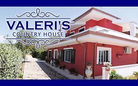 Valeri 'S Country House